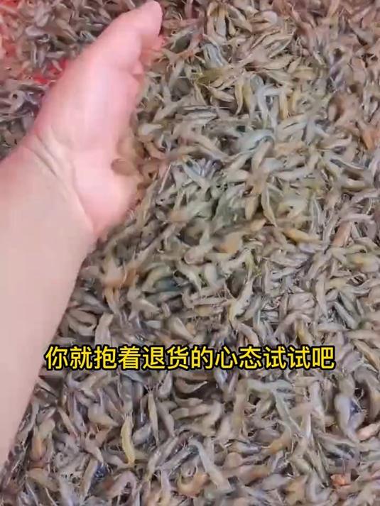 淡水小鱼小虾,香香酥酥的哦小鱼小虾土特产干货