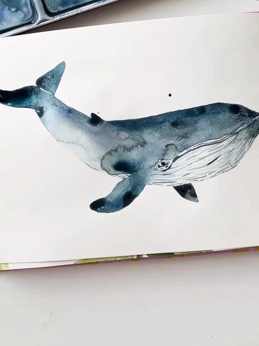 水彩鲸鱼绘画教程