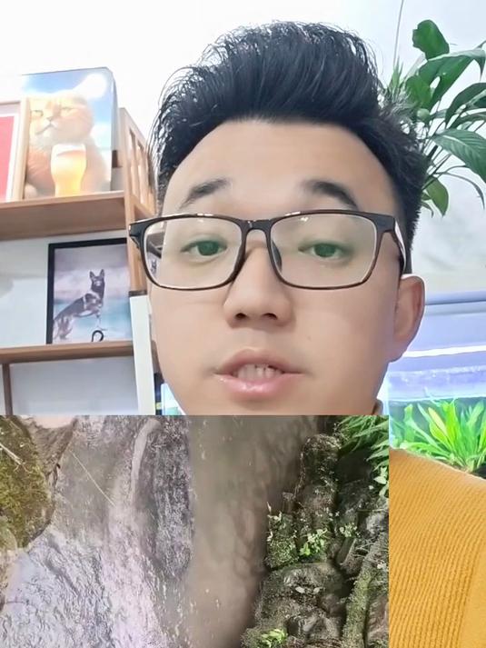 野生娃娃鱼二级保护动物
