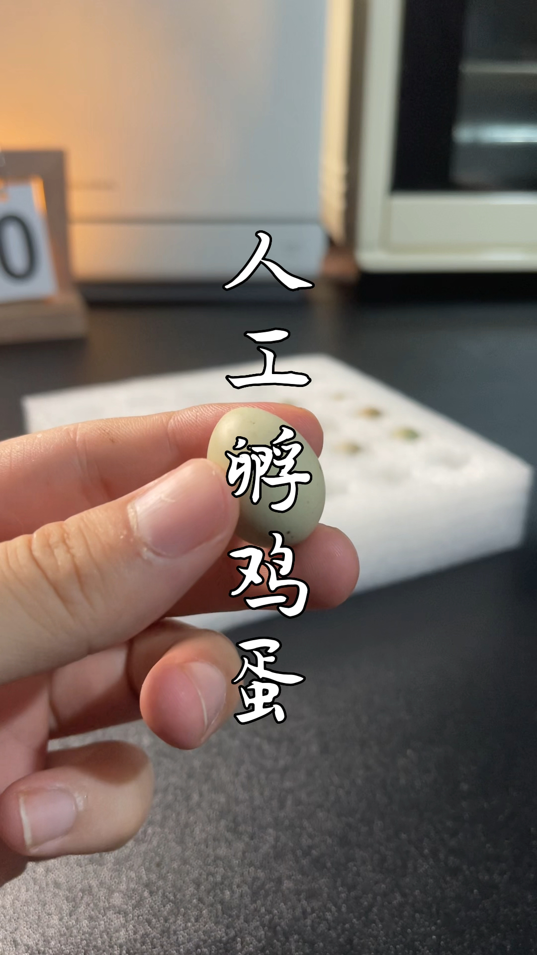 把鸡蛋放进电饭锅里能孵出小鸡?