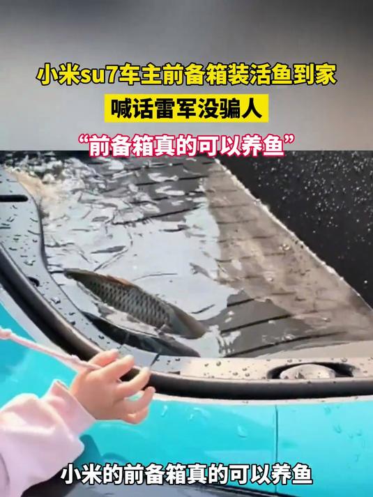 小米su7车主前备箱装活鱼到家 20多公里一滴水没漏 鱼还活蹦乱跳