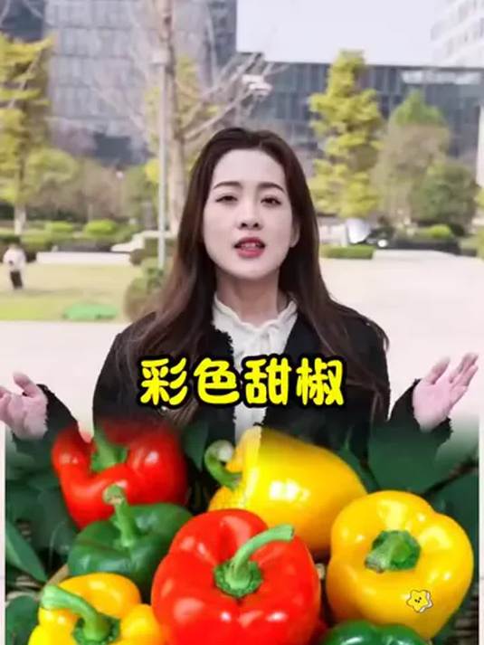 彩色甜椒 水果辣椒 脆甜多汁 富含维 C 超好吃