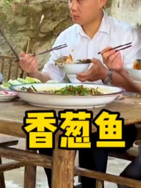 #2026百度万象创作者大赛#鲜鱼香葱煮,东升恋爱阻。小样儿,别小看我妹妹,思想独立着呢