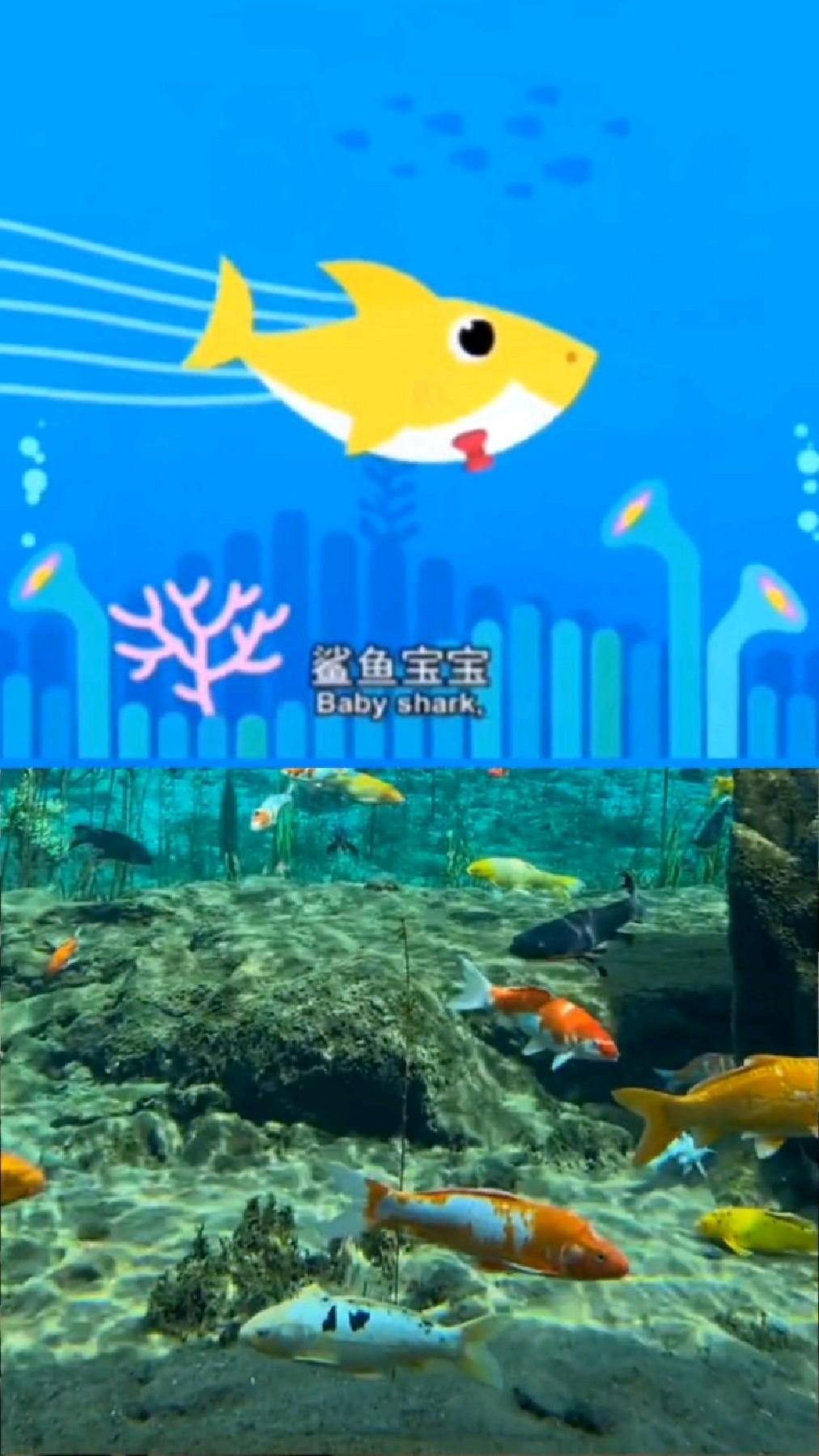 宝宝启蒙早教儿歌动画:鲨鱼宝宝 baby shark 嘟嘟嘟嘟嘟 #儿童动画 #儿歌 #动