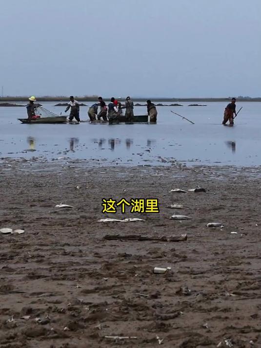 拯救被困鱼类,让鱼儿回家