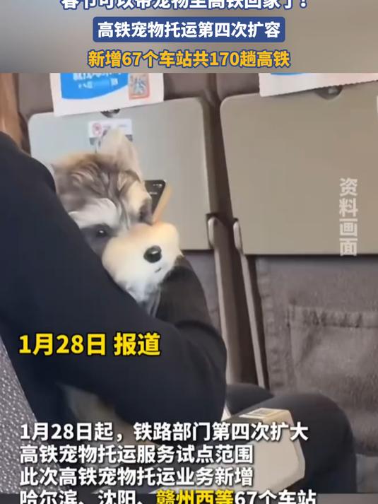 春节可以带宠物坐高铁回家了！高铁宠物托运第四次扩容