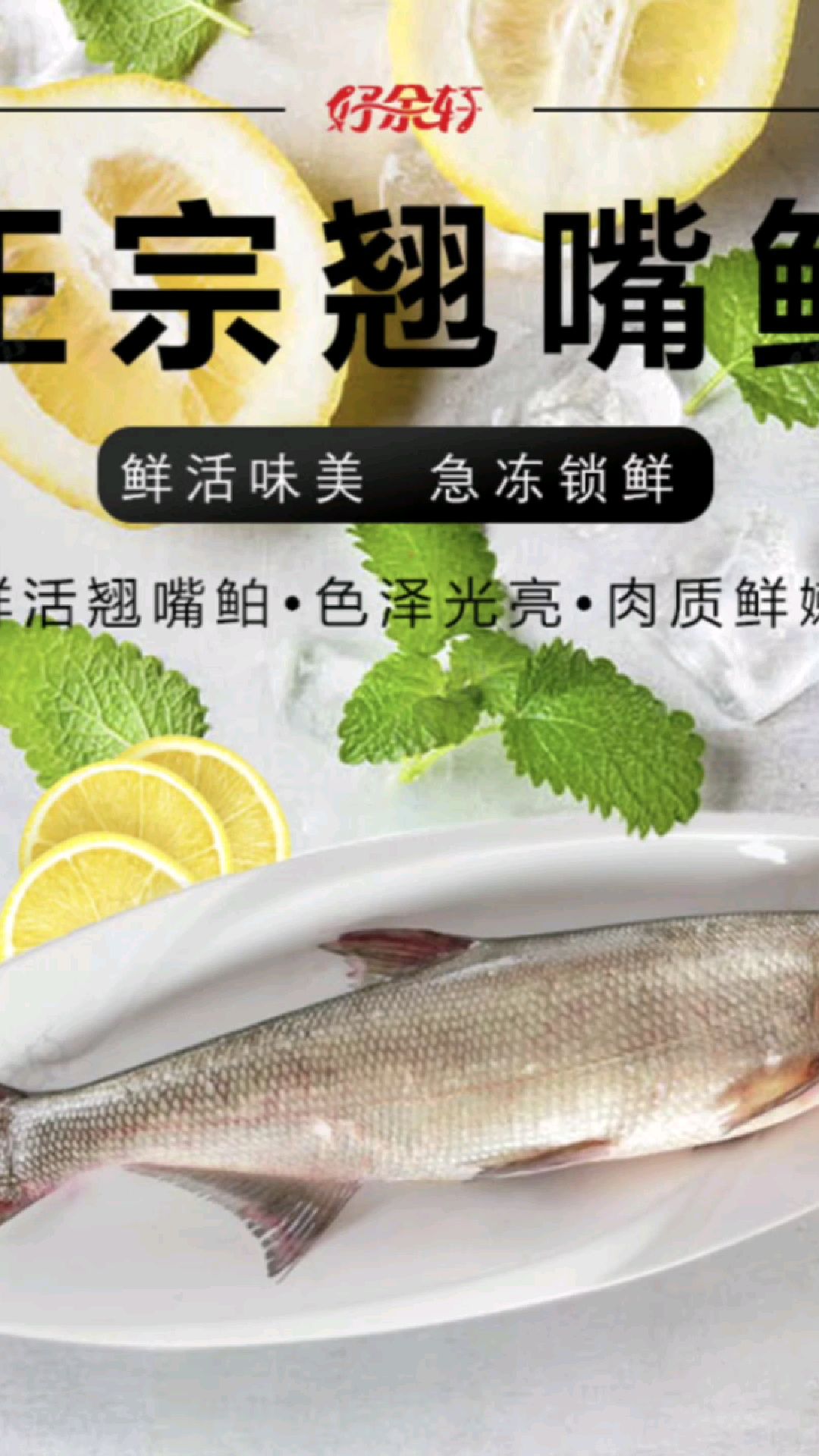 好余轩翘嘴鲌