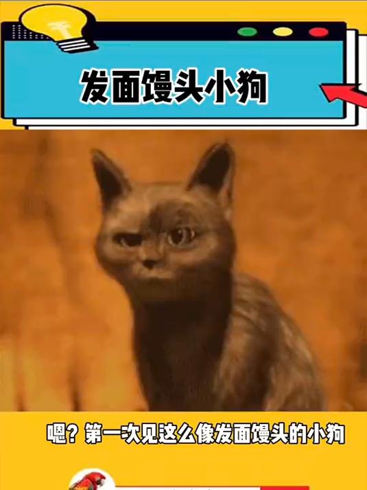 发面馒头小狗