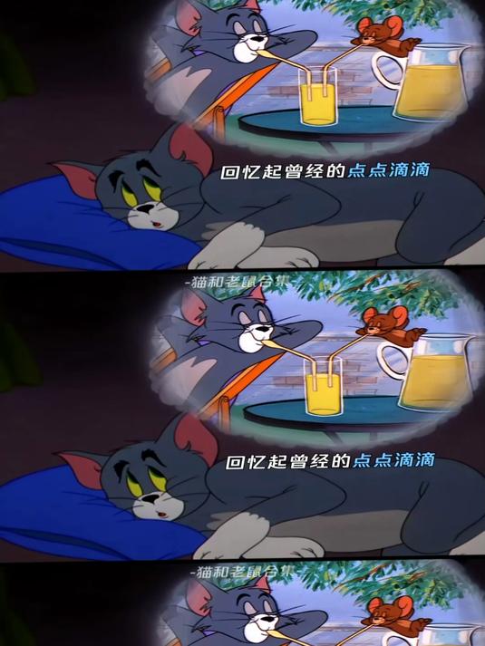 谁还记得汤姆是世界捕鼠冠军