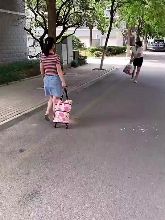 买菜车小拉车拖车拉购物车袋子防水买菜包可折叠带轮