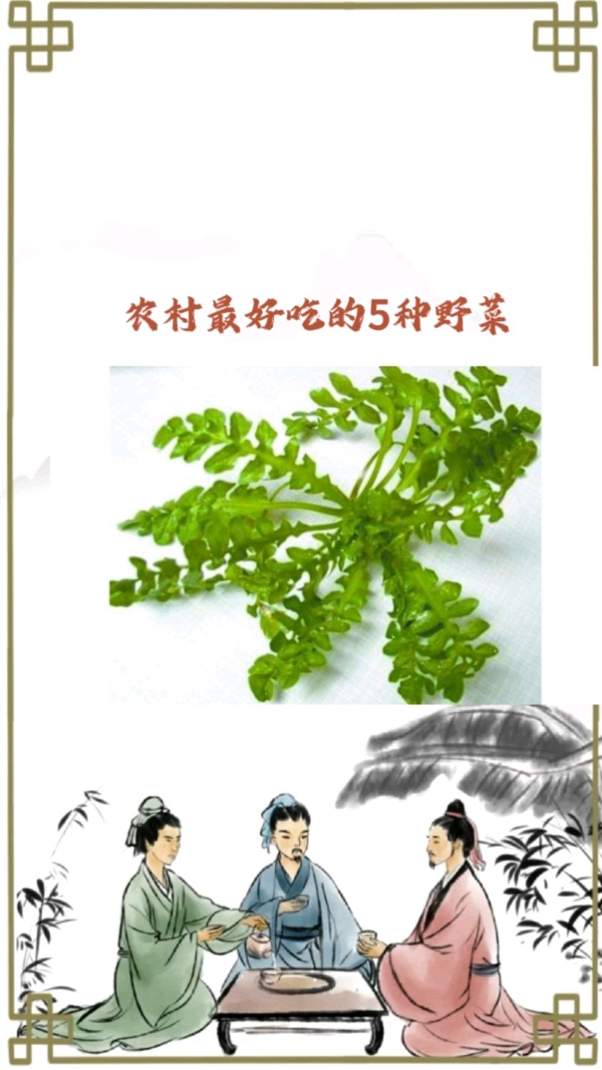 农村最好吃的五种野菜,你吃过几种?
