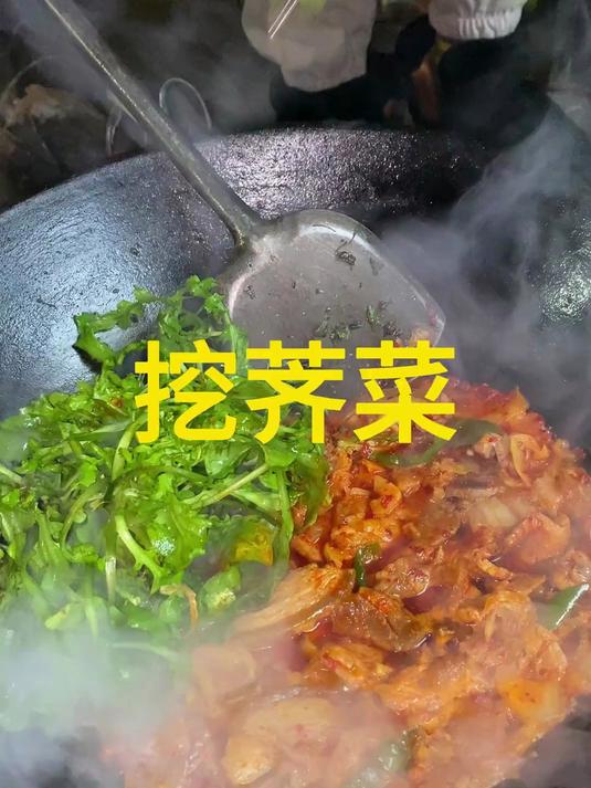 今天带大家去挖荠菜