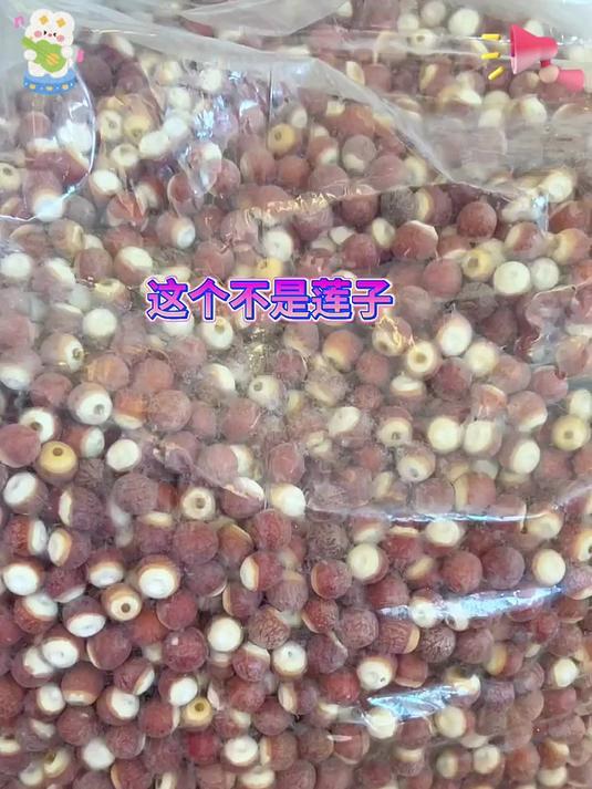 你可能吃过但还不认识,它就是芡实又叫鸡头米