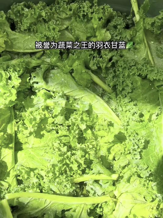 特色羽衣甘蓝,口感清甜脆嫩,凉拌热炒都好吃