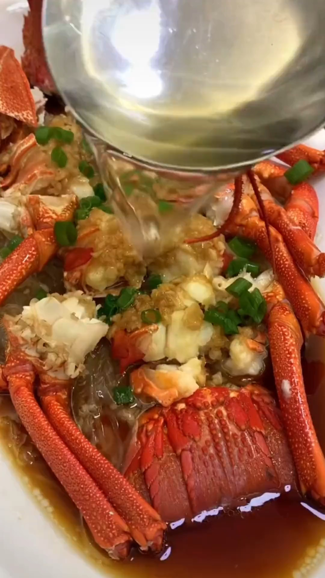 【清蒸澳龙】这澳龙吃苦瓜长大的吧,费劲吧啦,要不你还是把我删了吧