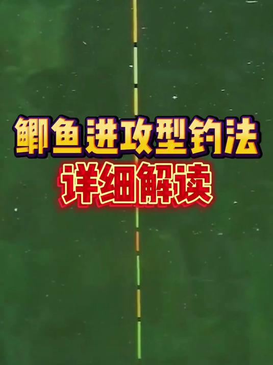 鲫鱼进攻型钓法鱼获数量超满足,过程超刺激,详细解读给钓友