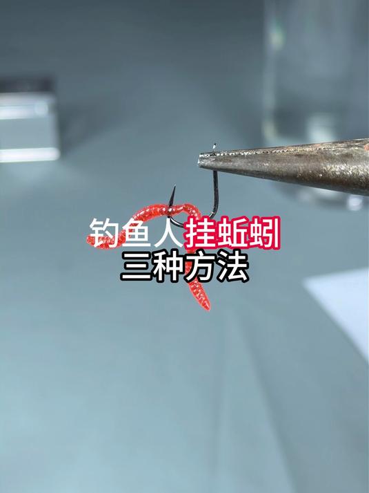 钓鱼挂蚯蚓的三种技巧一看就会
