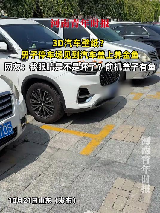 3D汽车壁纸？男子停车场见到汽车上能养金鱼，网友：我眼睛是不是坏了？