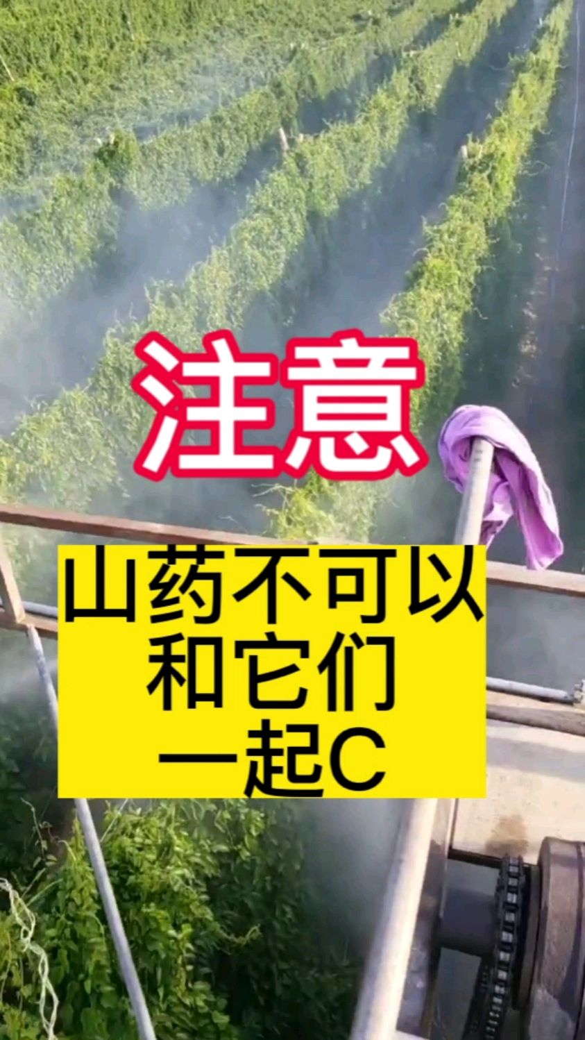 山药不可以和他们一起吃?