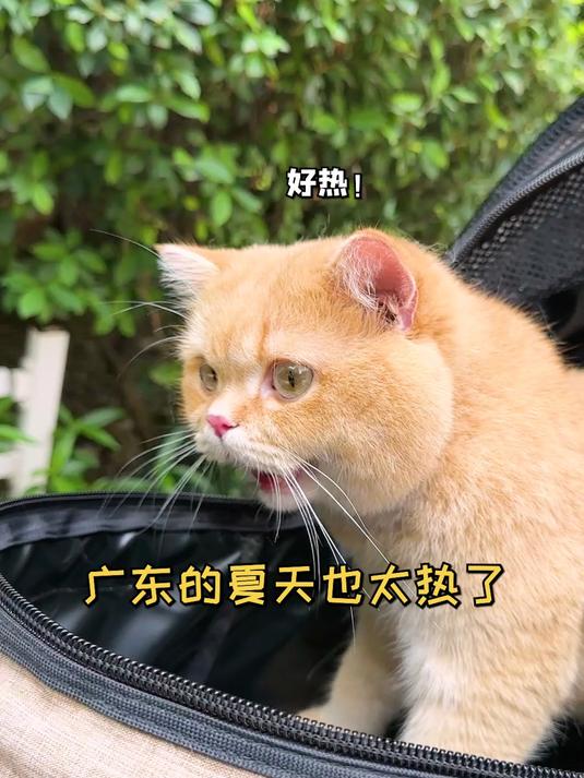 发现了一团白色的东西