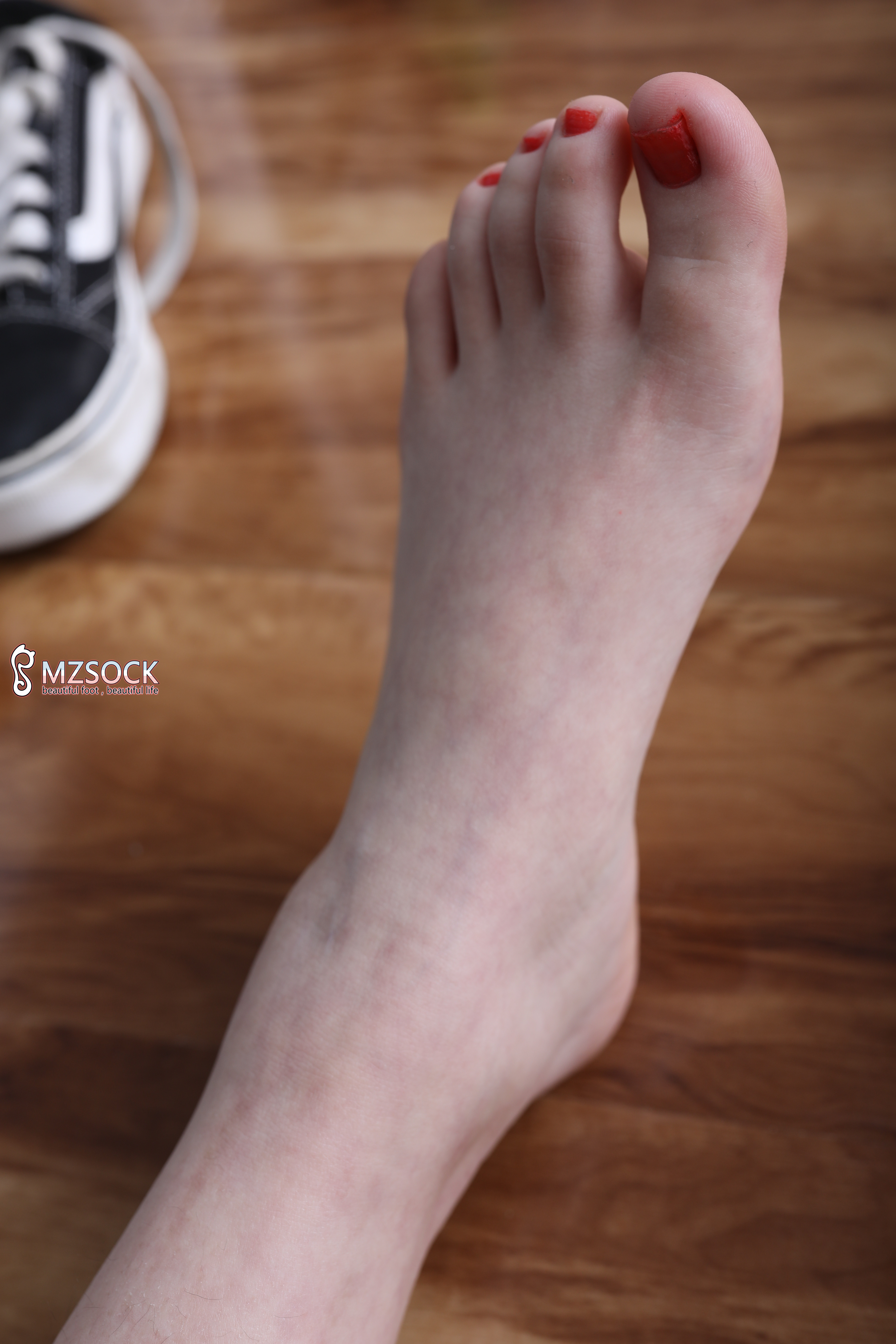 图片[133]-[MZSOCK]爱美足 NO.027 琪琪[170P512M]-六色网