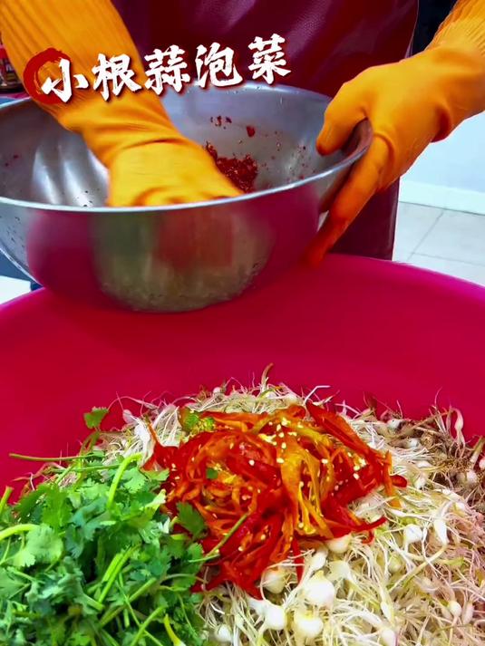 就这小根蒜咸菜可是东北延边风味的 可好吃了，不信你尝尝