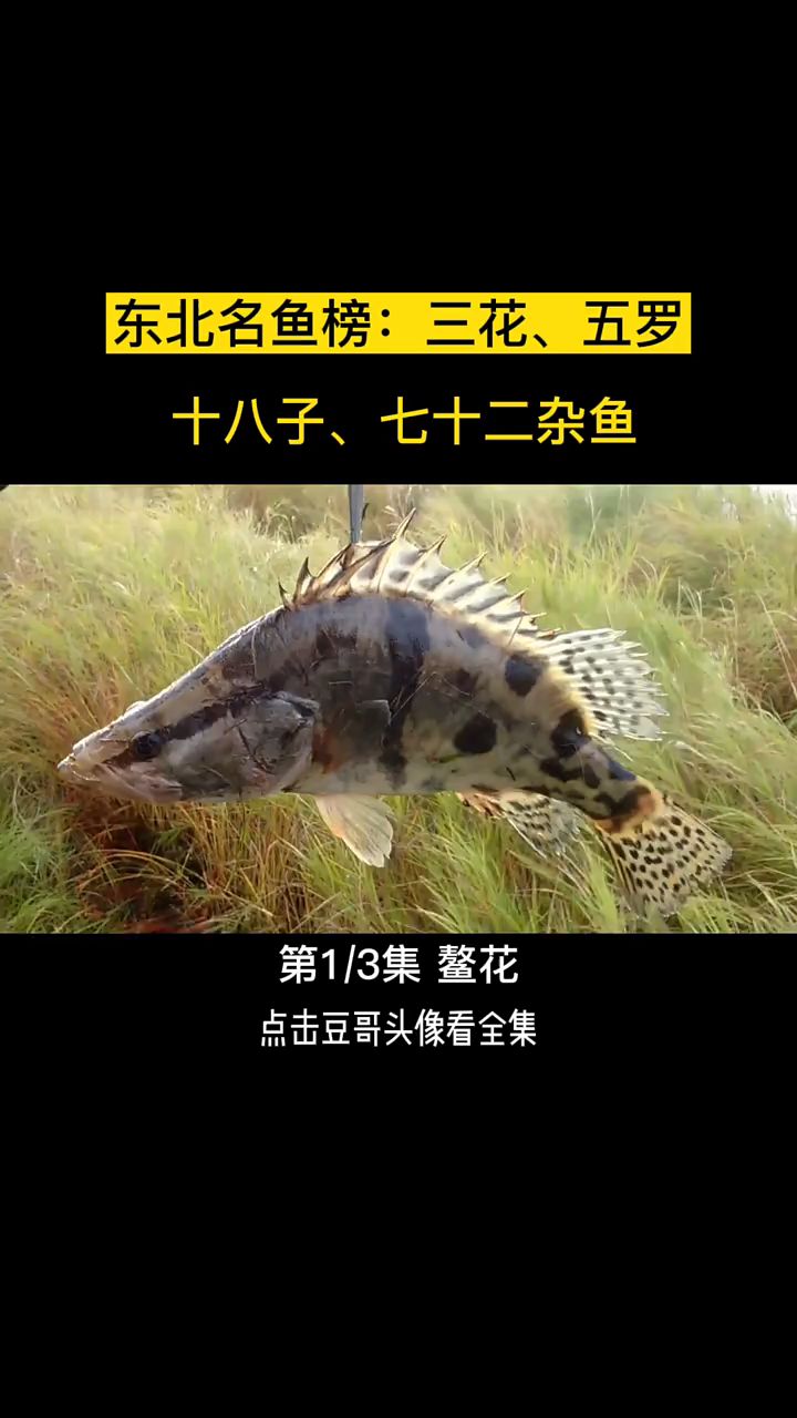 东北三花,五罗,十八子,鳌花居榜首