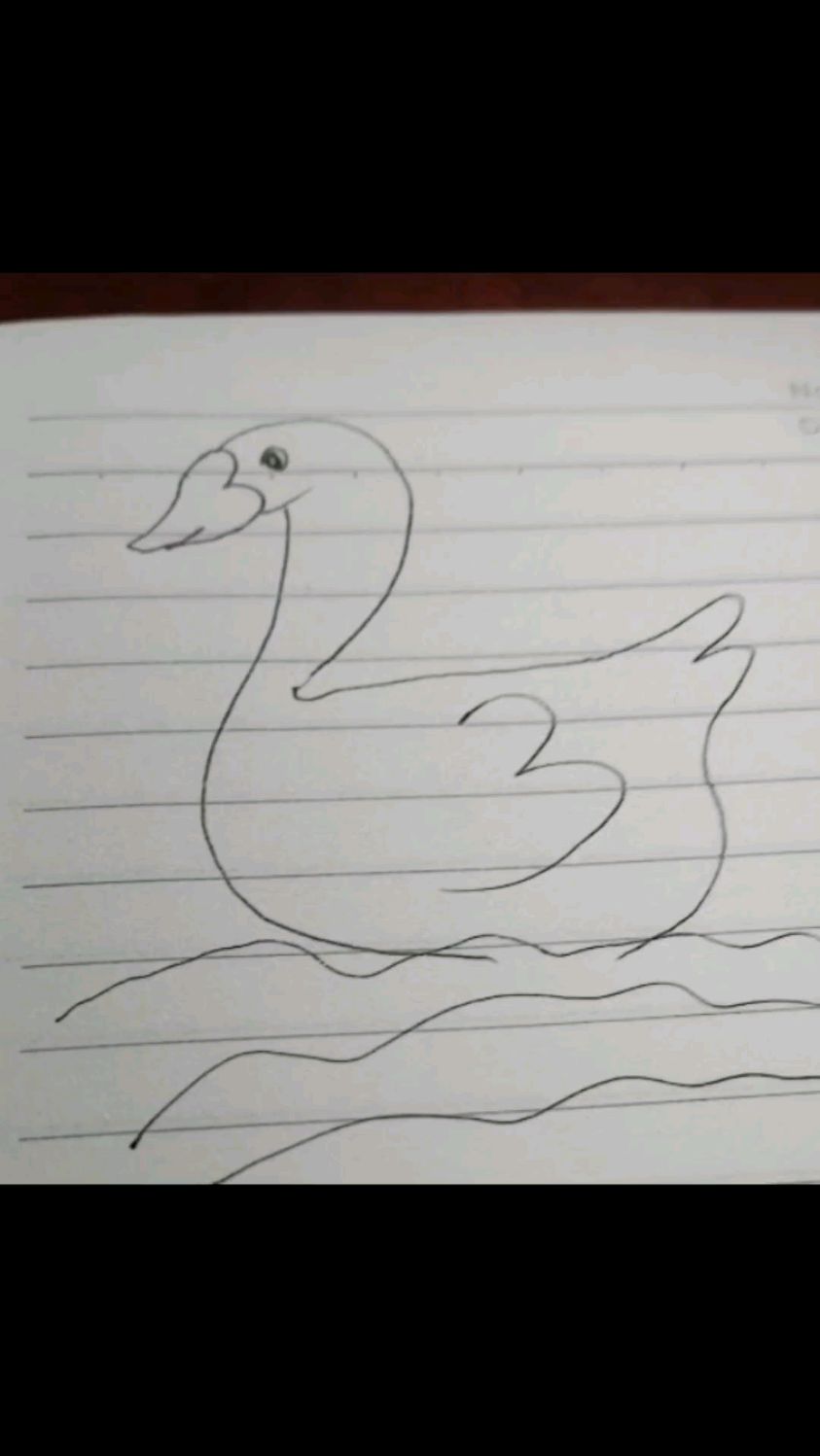 简笔画,233画白天鹅