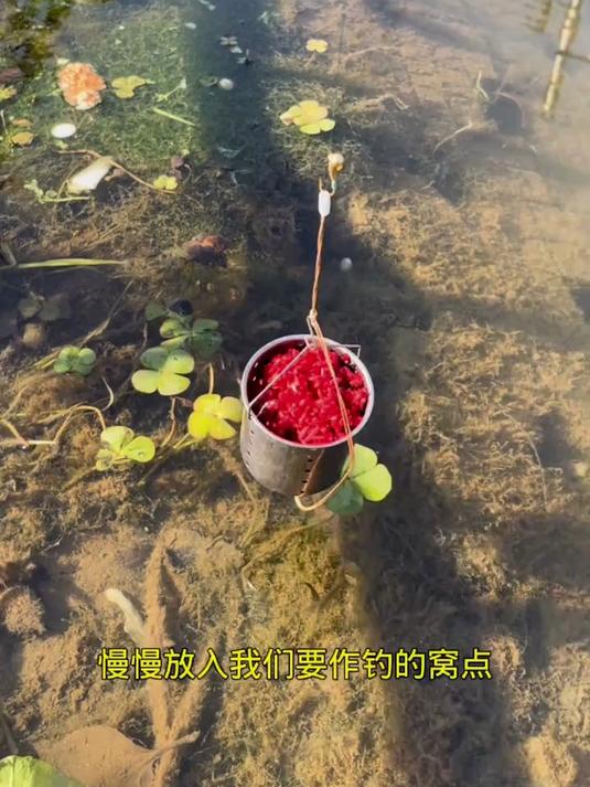 聚鱼快、留鱼久!不锈钢定点沉底打窝器,钓鱼必备神器