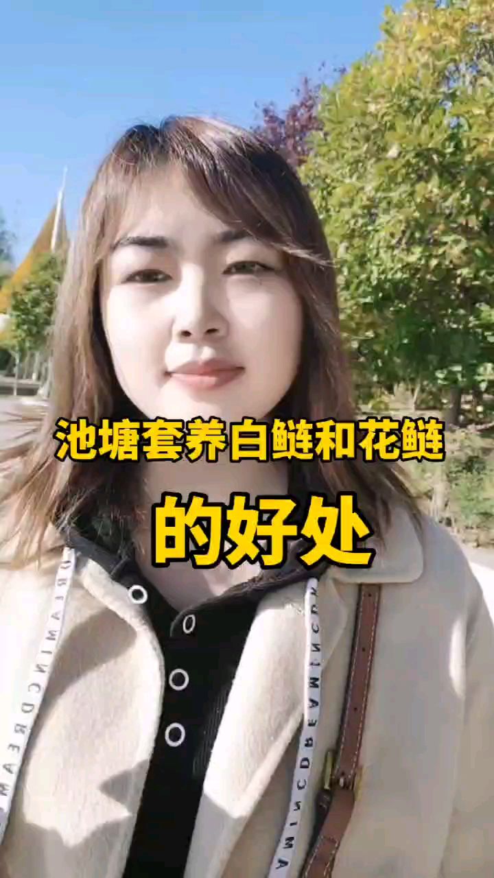 池塘套养白鲢和花鲢的好处