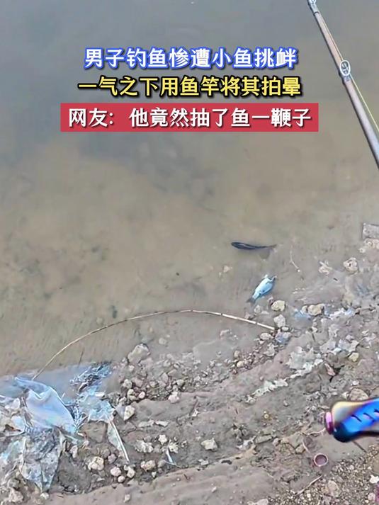 男子钓鱼惨遭小鱼挑衅,一气之下用鱼竿将其拍晕