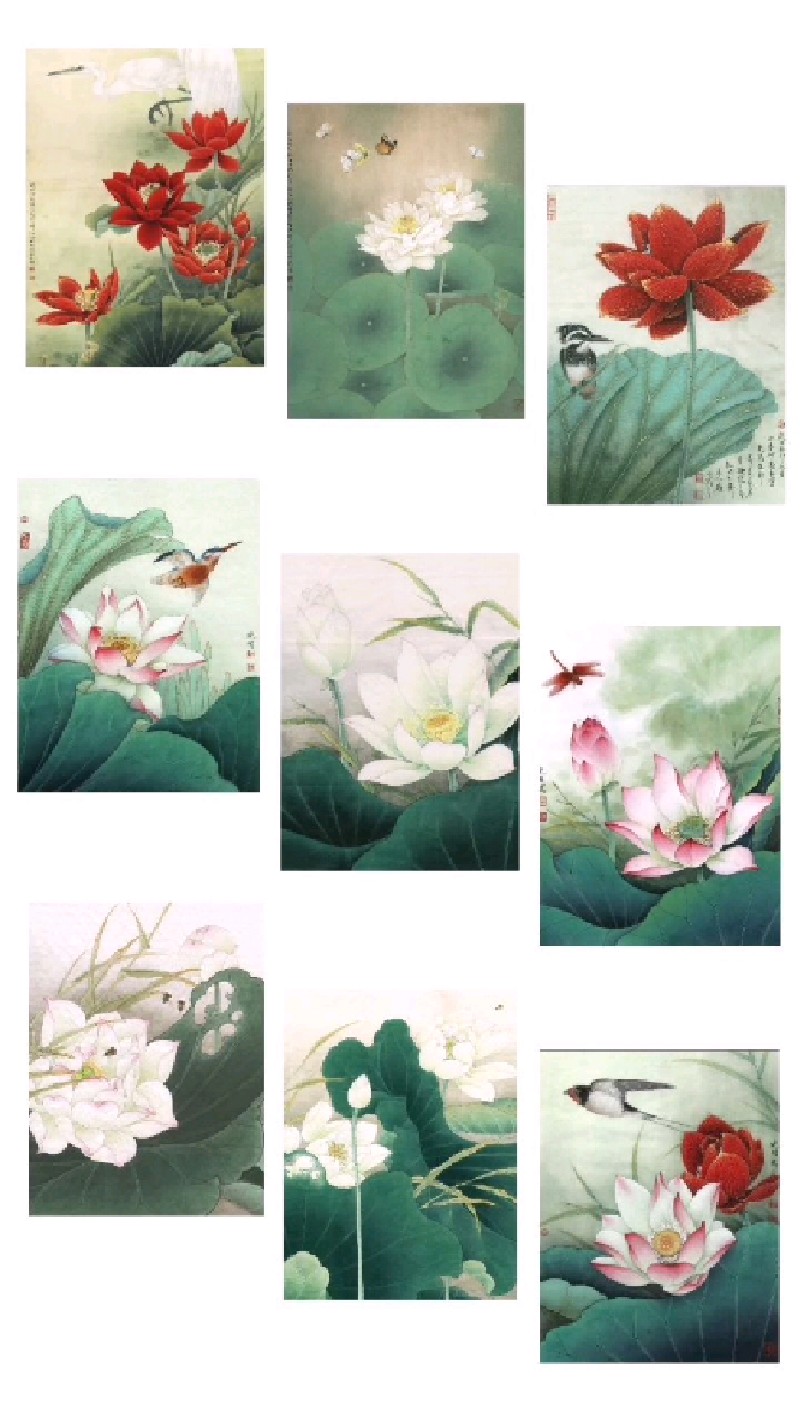 工笔荷花高清组图1