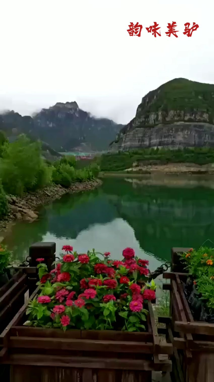 我的家美丽的涞水天鹅湖