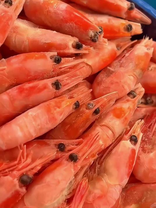北极甜虾,一口虾肉满是满足