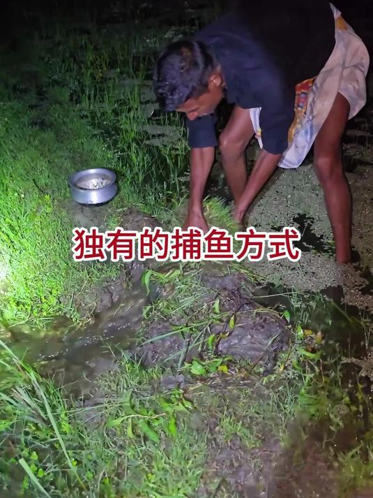 渔民大半夜不睡觉，提着尿盆到田埂上，用独有的捕鱼方式收获颇丰