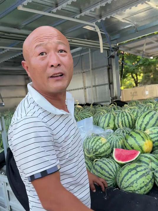 这是什么品种