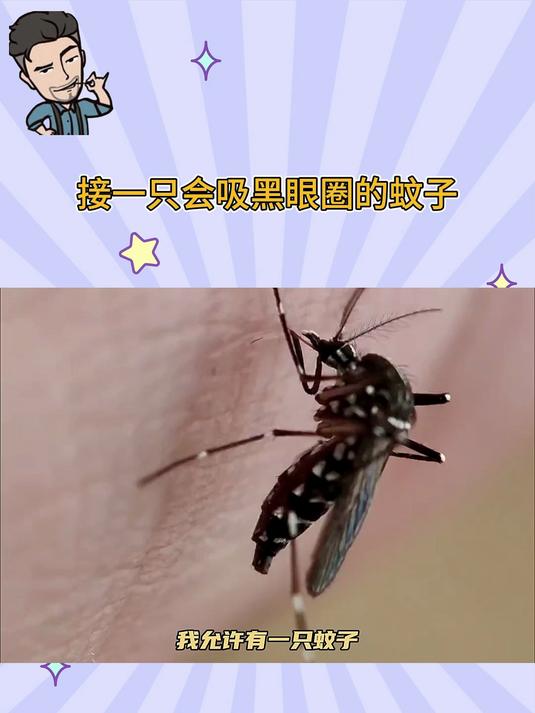 接一只会吸黑眼圈的蚊子
