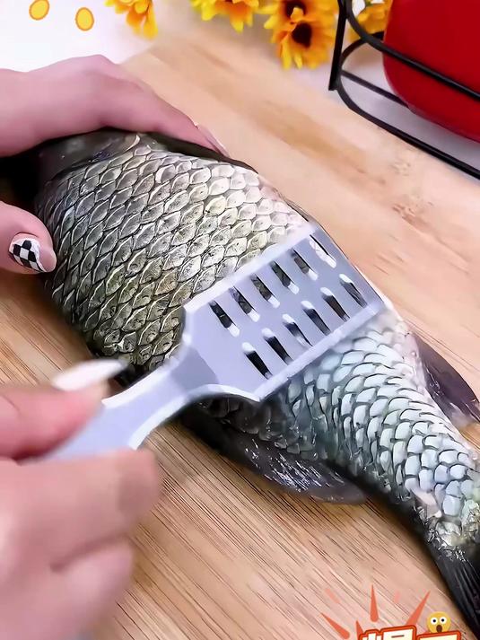 鱼鳞刨厨房家用,杀鱼刮鳞神器,一器在手杀鱼轻轻松松