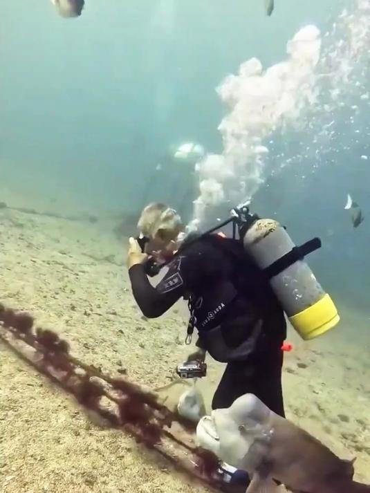 老婆变情敌，闺蜜变老公，金黄突额隆头鱼的奇葩变性能力