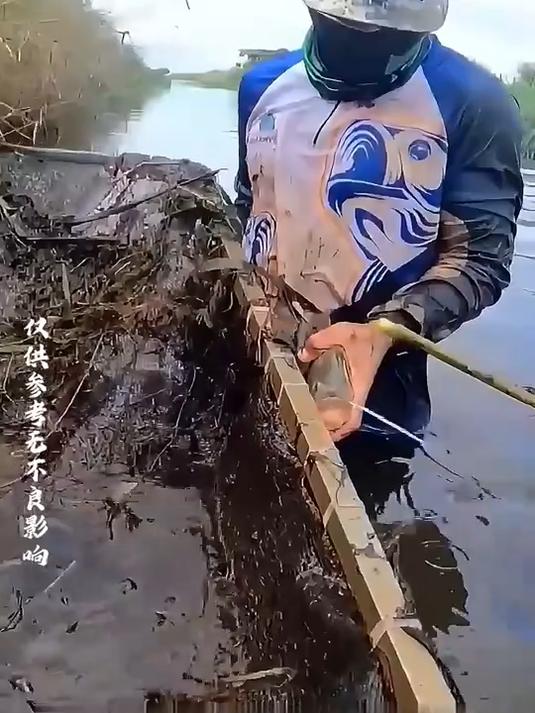 #AI中国年我的春节故事#外国小哥竟然用食人鱼当剪刀,并做成美食吃掉,这能好吃吗