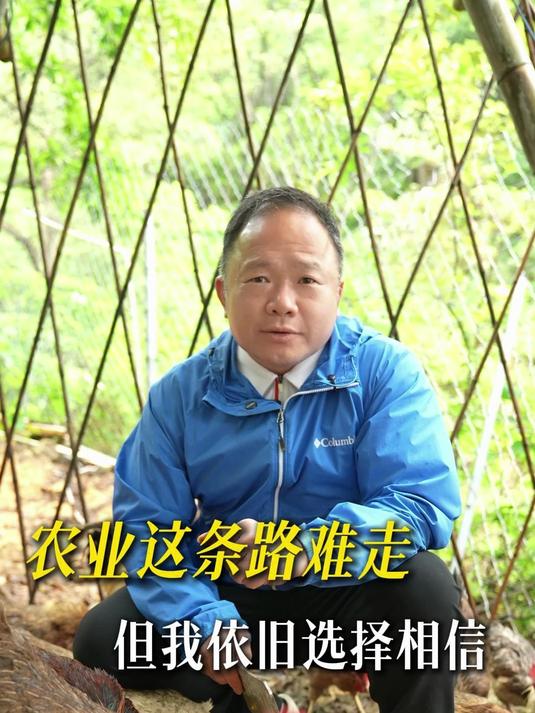 农业这条路难走 但我依旧选择相信！#清远鸡##叹鸡清远鸡##养鸡##土鸡##散养土鸡##三