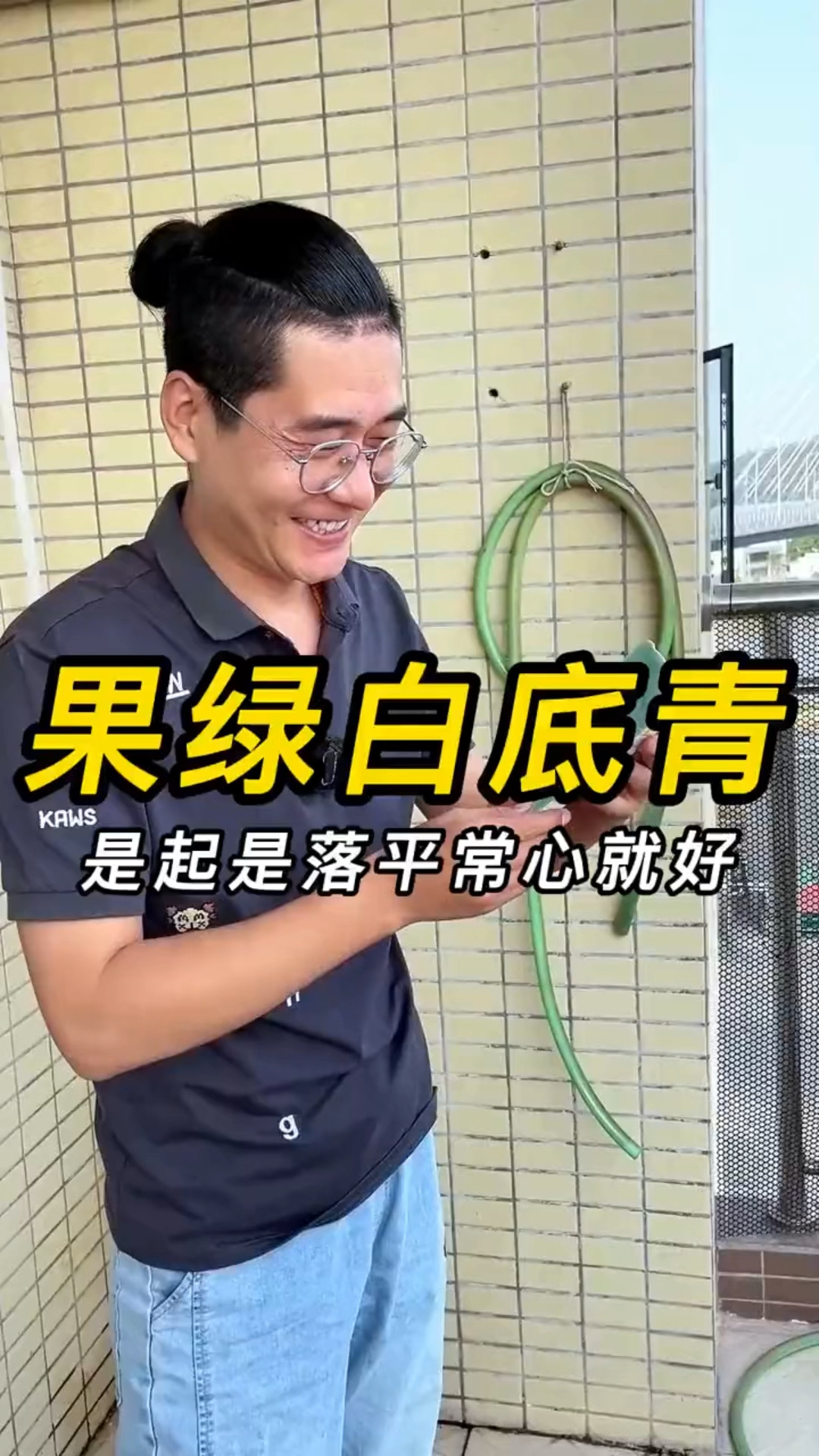 这样的果绿白底青,是起是落平常心就好