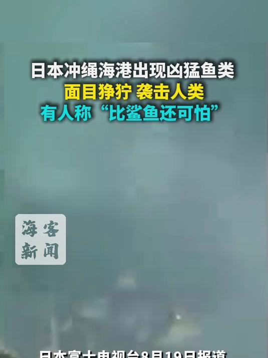 日本冲绳海港出现凶猛鱼类 面目狰狞 袭击人类 有人称“比鲨鱼还可怕”