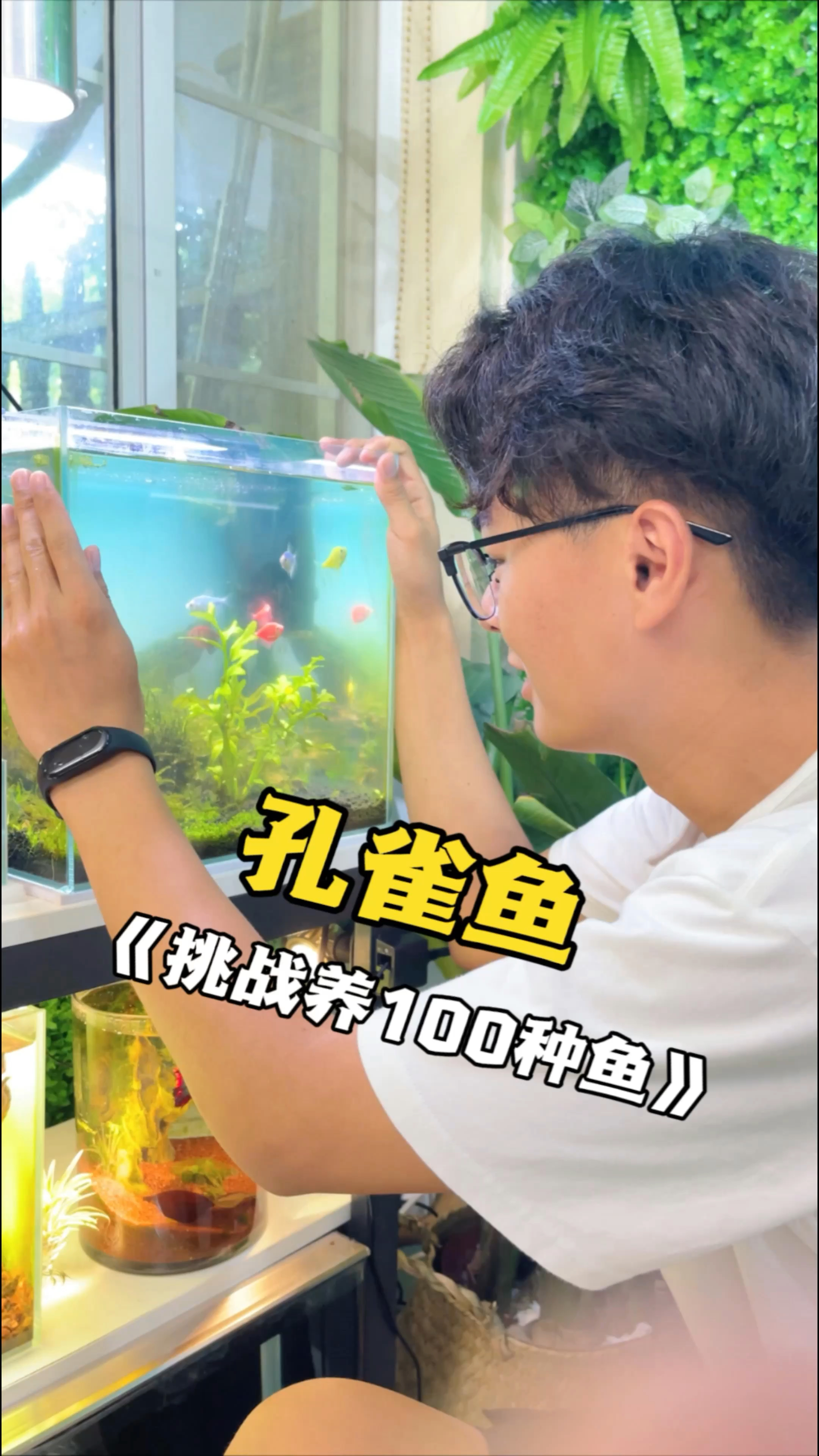 劝你千万别养孔雀鱼,因为它会突然给你生一窝小鱼仔