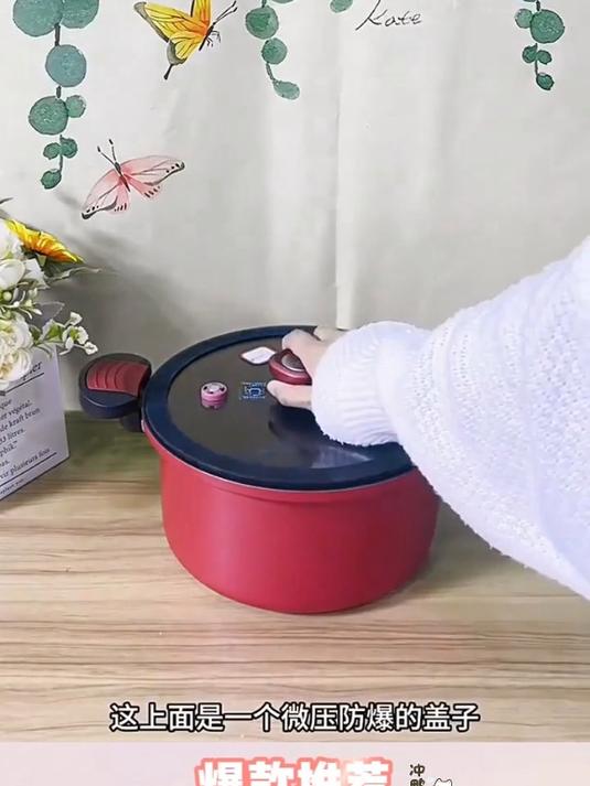 微压锅苏泊尔家用微压汤锅,煮粥煮面炖肉煲汤多功能锅微压汤锅