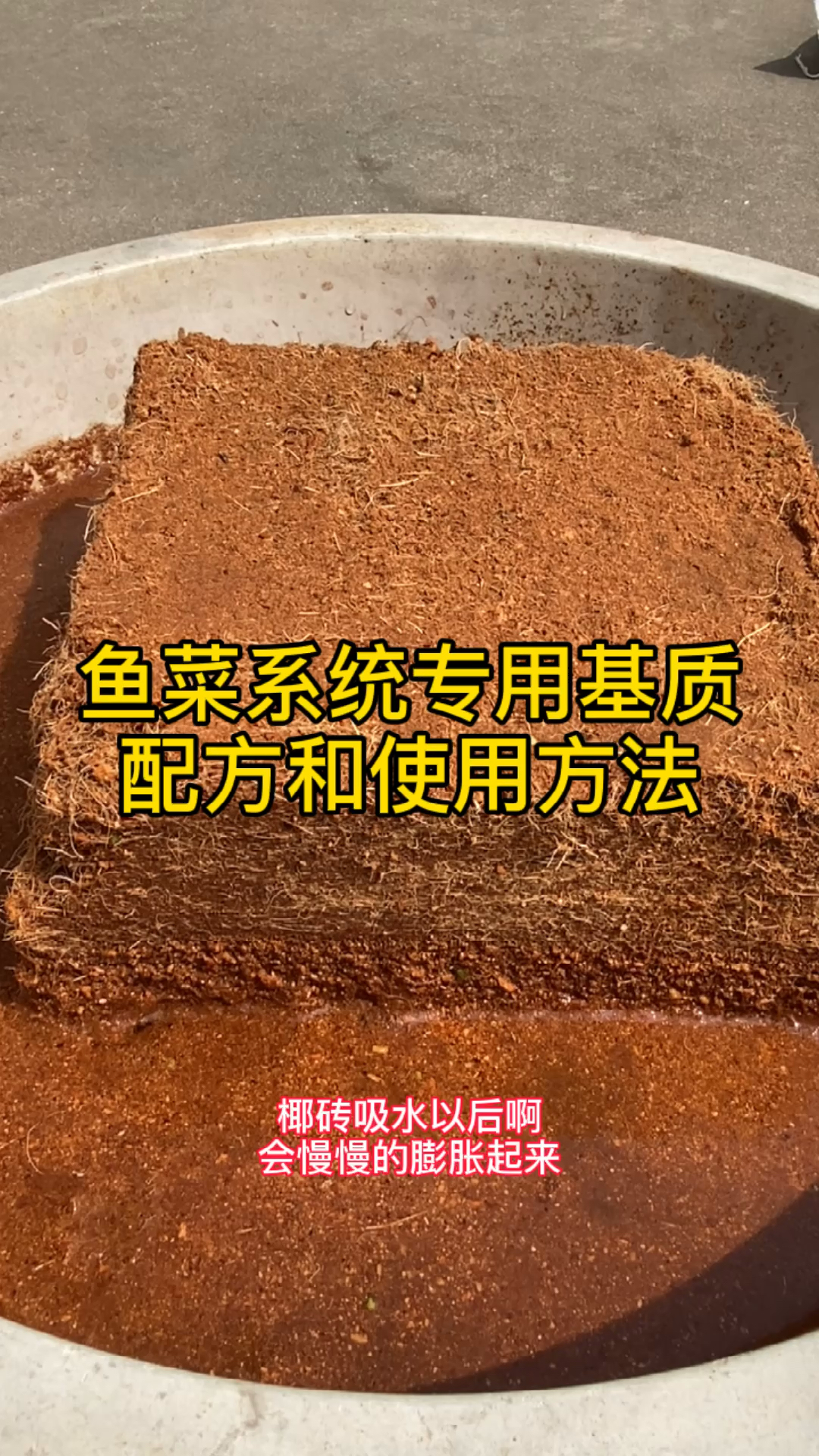 鱼菜共生种植基质配方,首次揭秘!