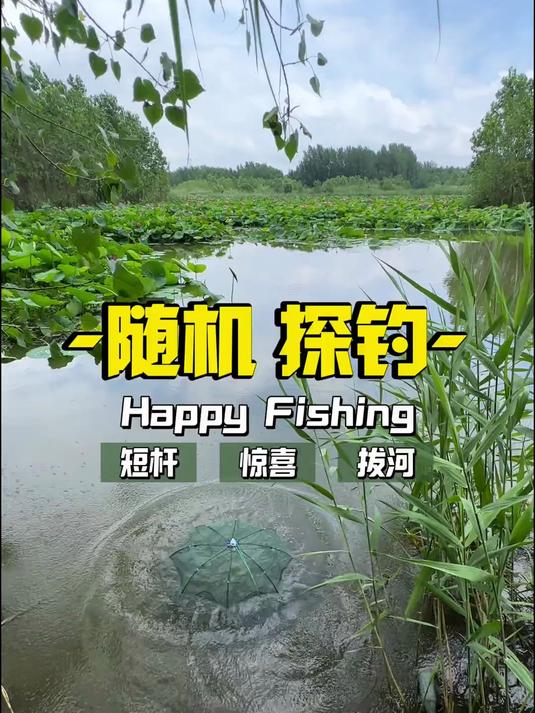 随机探钓 这么短的鱼竿,既然能钓到鲤鱼!