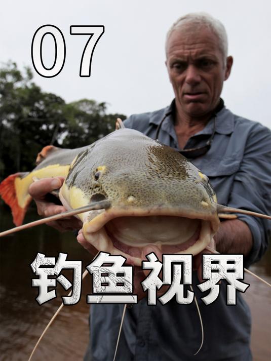 男人用稀有鱼骨,海钓两百多斤的大鲨鱼!