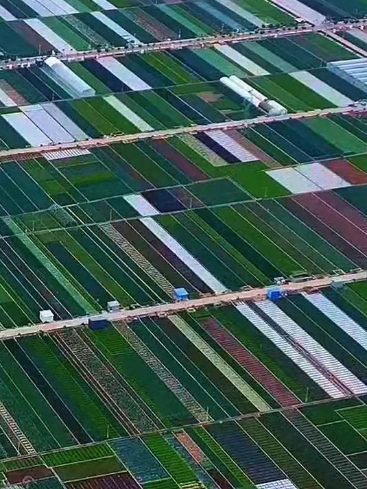 中国最大的露天蔬菜基地,航拍视角,网友:“七彩云南”