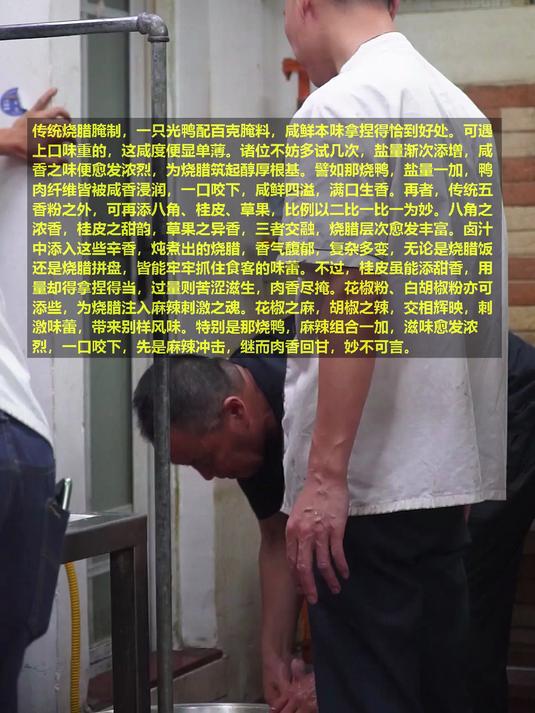 广东烧鸭腌料改良，咸香引味蕾！